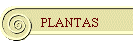PLANTAS